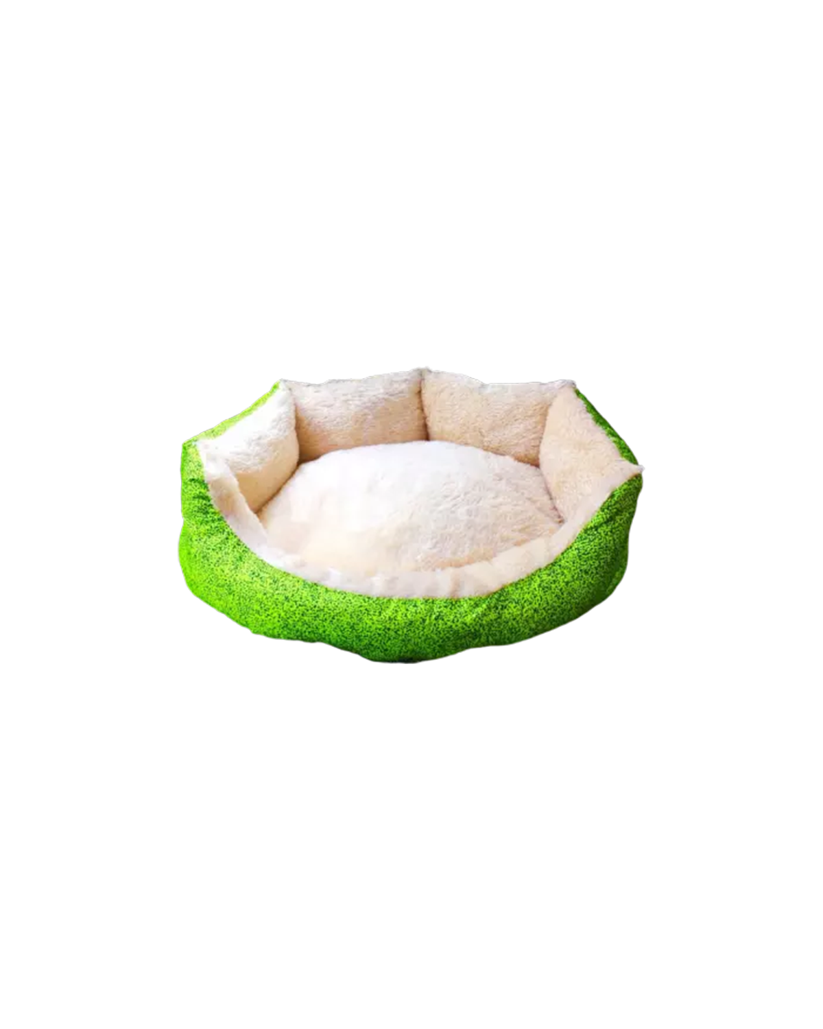 تخت سگ